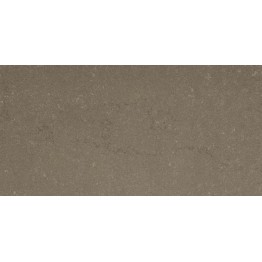 Gạch ốp tường Trường Thịnh MATT STONE BE306123